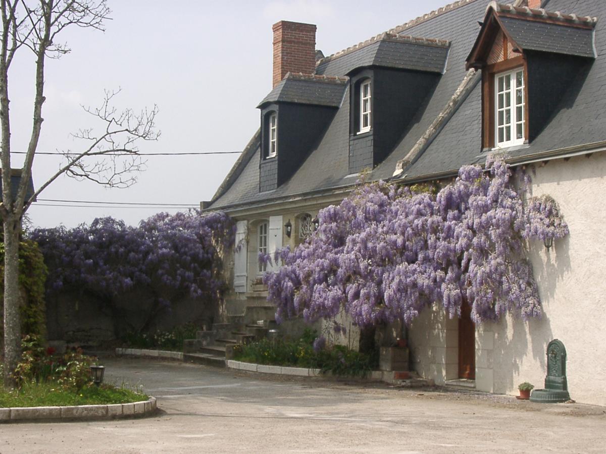 Au Clos De L'Epinay Vouvray Luaran gambar