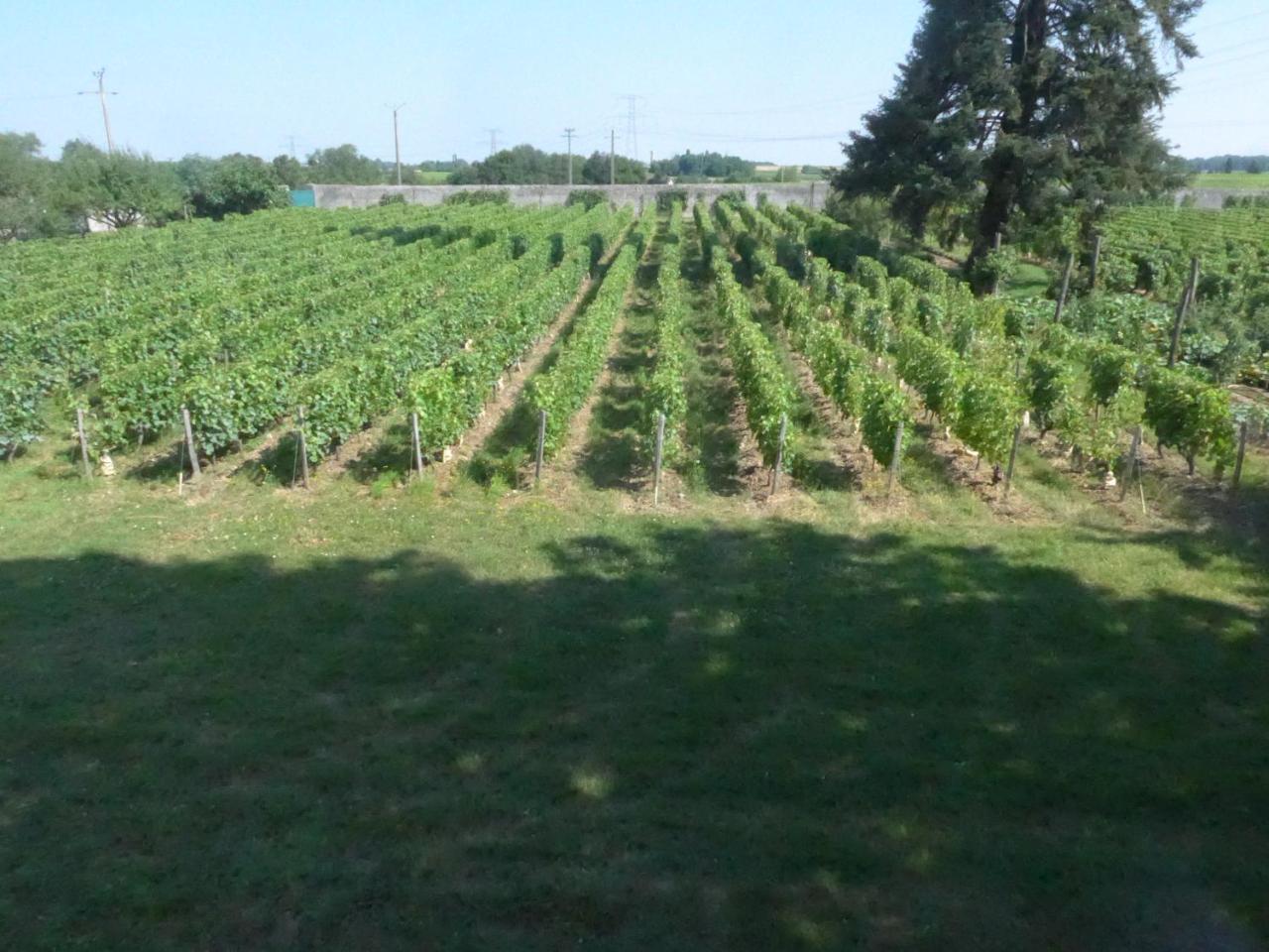 Au Clos De L'Epinay Vouvray Luaran gambar